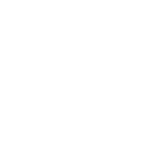 Comune di Firenze