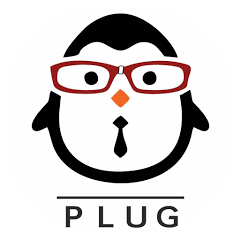 Plug